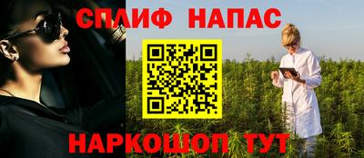 сатива Бердск