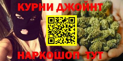 сатива Бердск