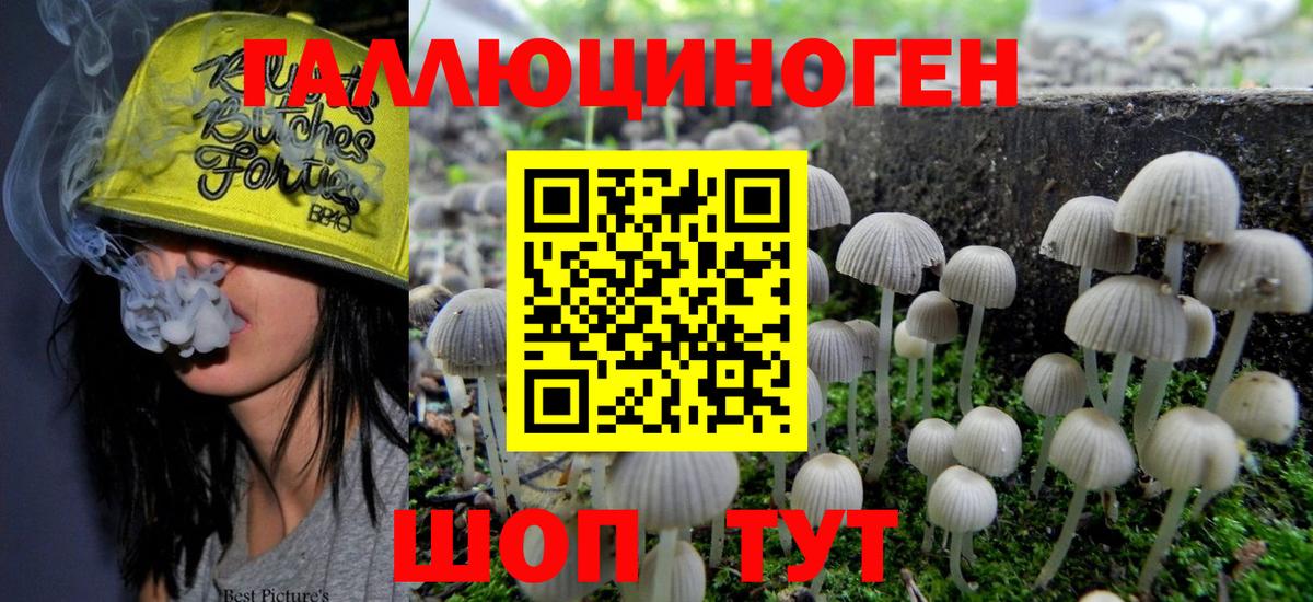 Галлюциногенные грибы мицелий Йошкар-Ола